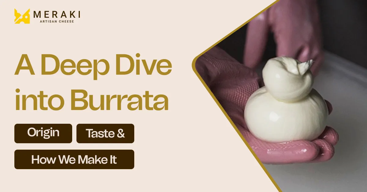 A Deep Dive into Burrata: Origin, Taste & How We Make It